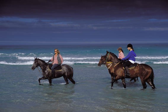 Walking through the surf on a Noordhoek beach ride