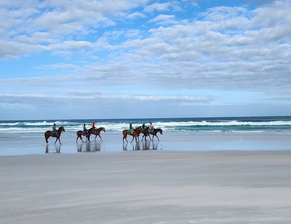 Walking through the surf on a Noordhoek beach ride