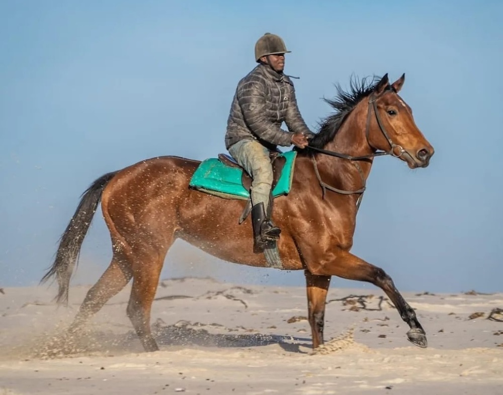 Champion stallion Zelator wins again