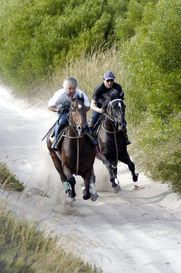 On_the_gallop_track_at_The_Dunes